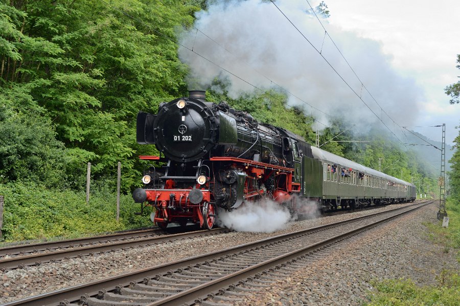 DB 01 202 in Neustadt Bild 02